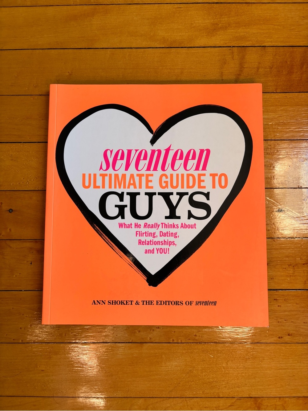 EUC Retro Paperback Book | Seventeen Ultimate Guide to Guys | 2013 Tumblr Era